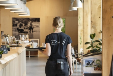 Welkom bij het Proeflab Waterloopbos